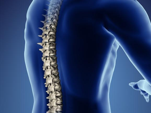 Algias Vertebrais Prof. Dr. Alexandre Fogaça Cristante