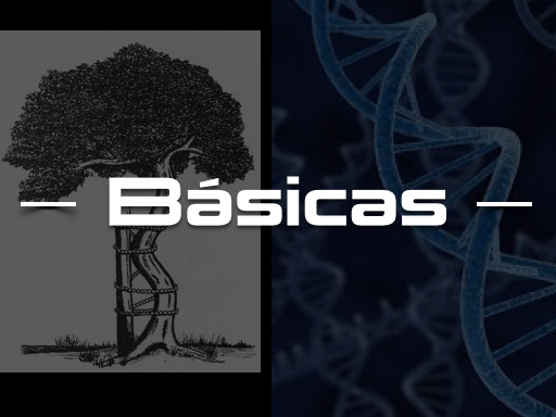thumbnails aulas3.002.png
