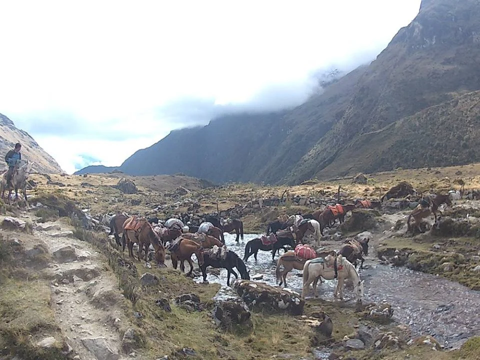 Salkantay 009.jpg