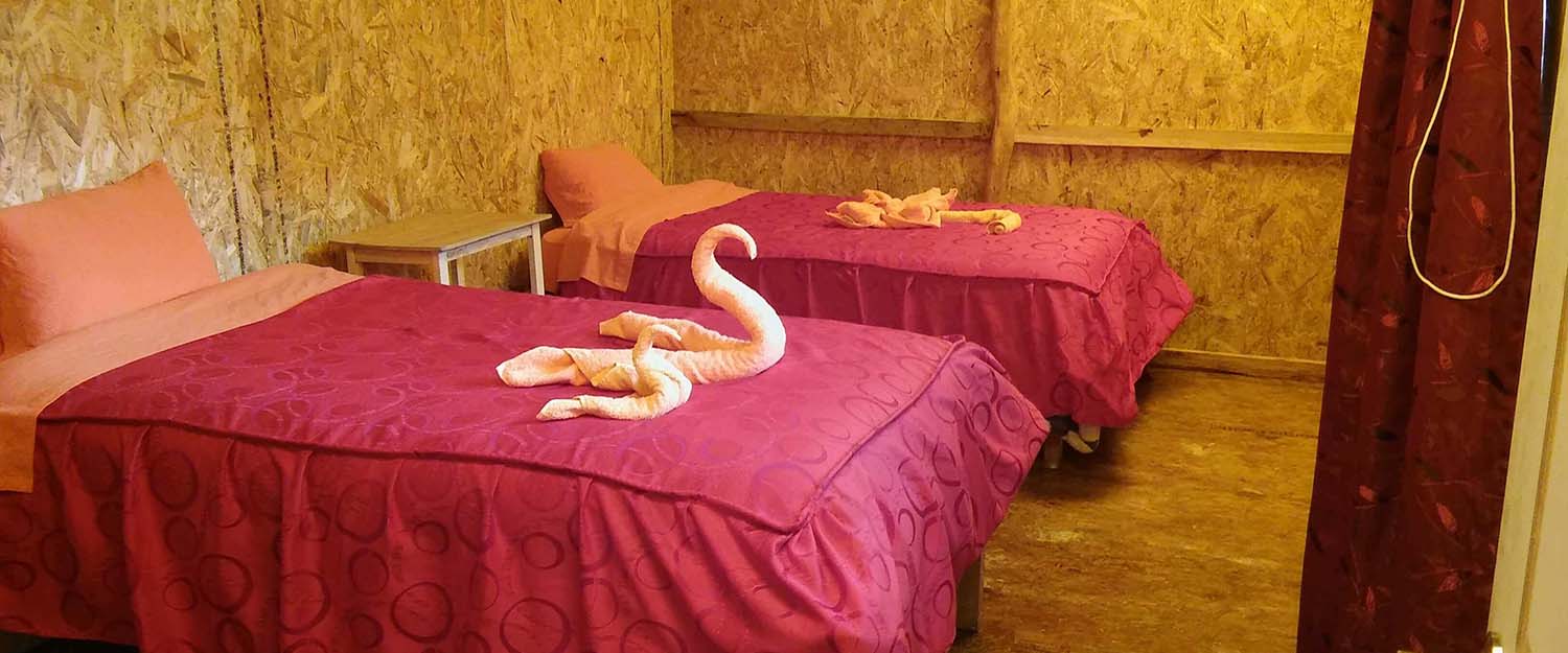 Refugios-salkantay-hotel-lodge-salkantay.jpg