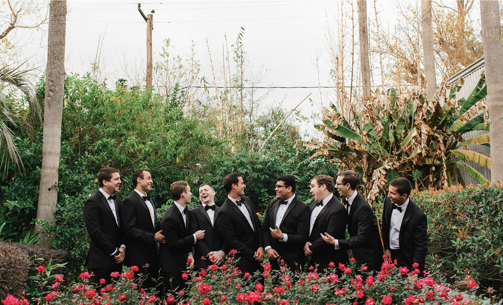 Houston Wedding Planner Piper & Muse
