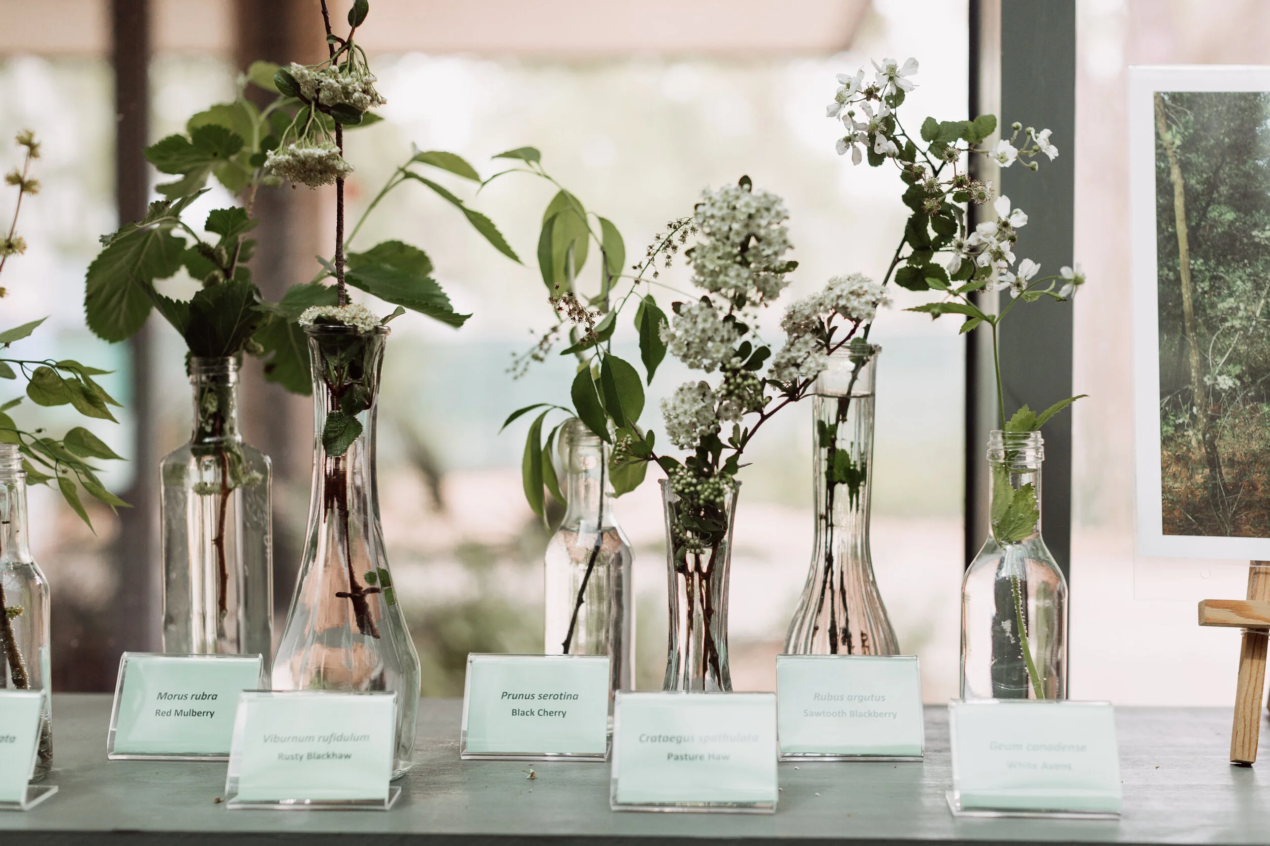 Houston Wedding Planner Piper & Muse