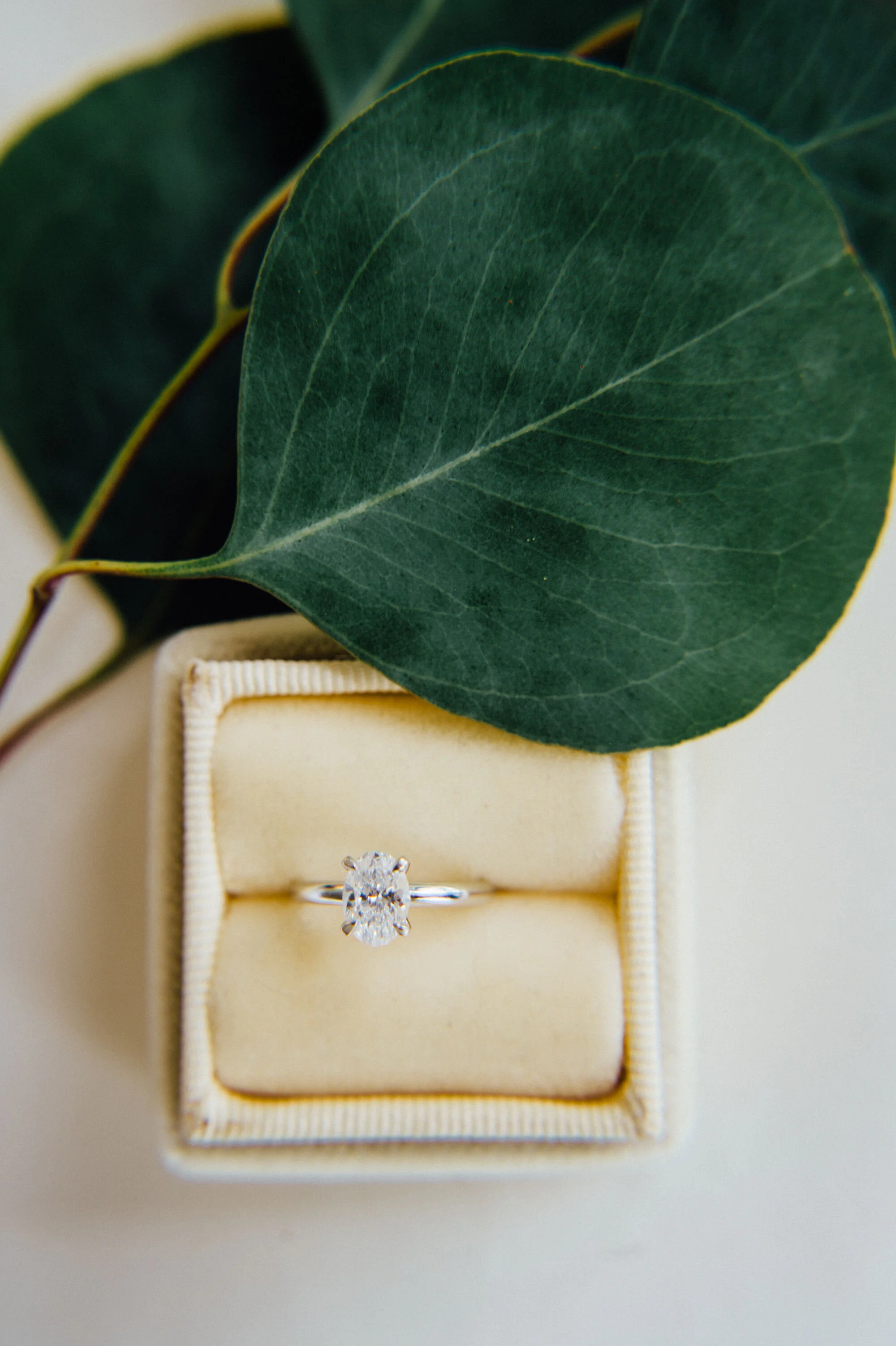Houston Wedding Planner Piper & Muse