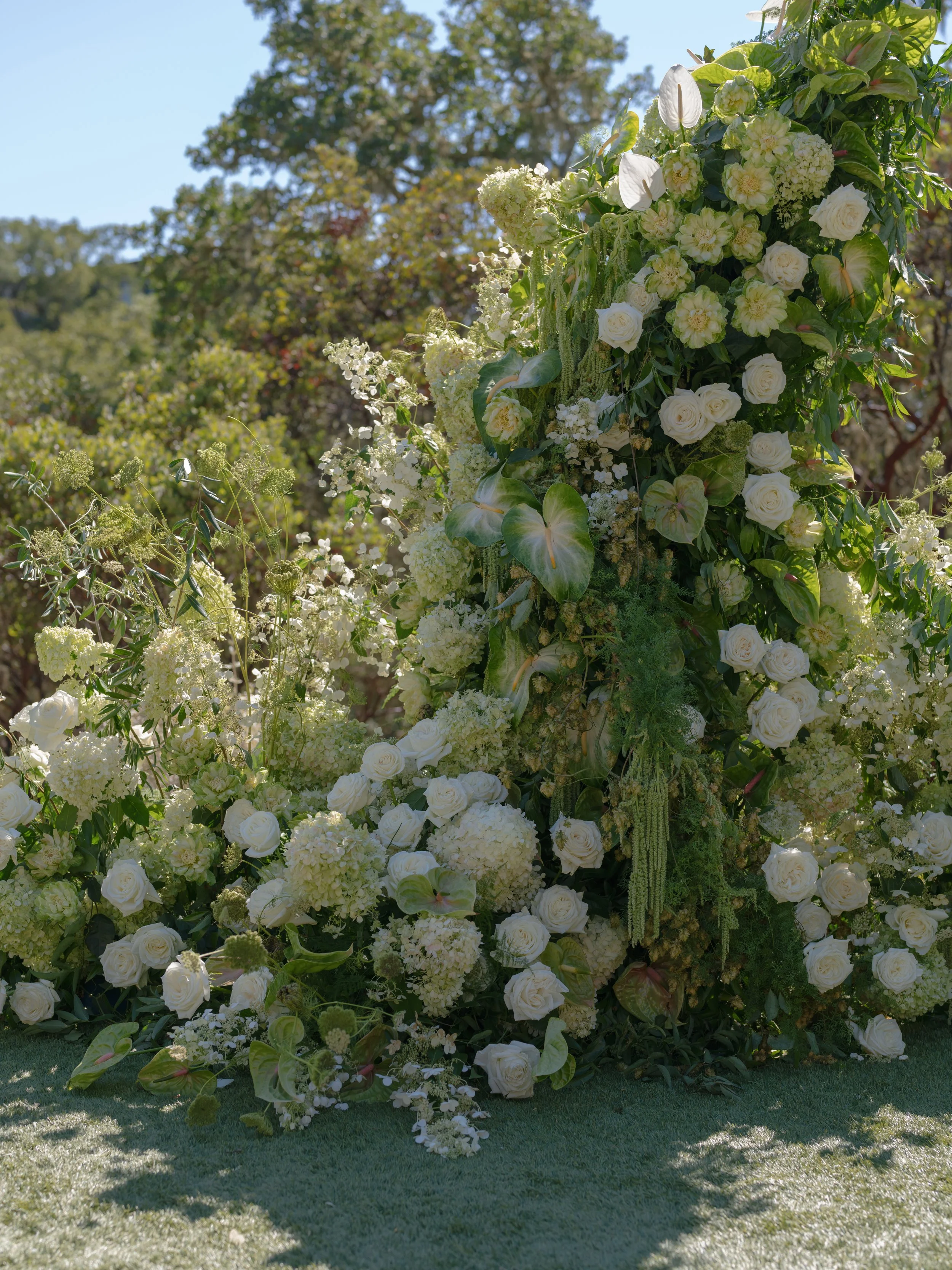 Luxury Vineyard Wedding Ceremony Montage Healdsburg