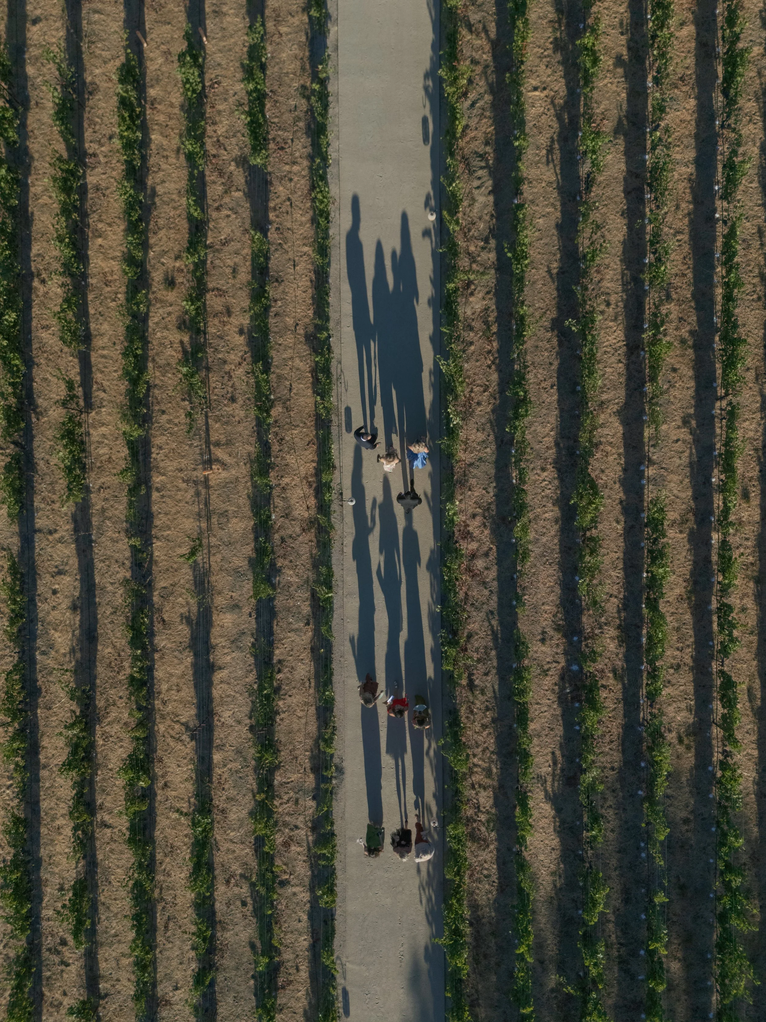 Luxury Wine Country Wedding Reception Montage Healdsburg California
