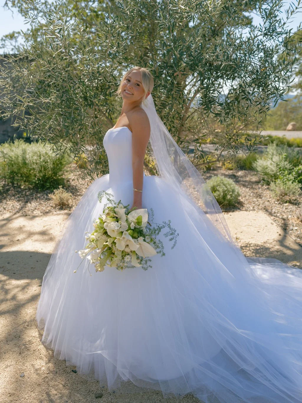Bridal portrait under an olive tree at Montage Healdsburg