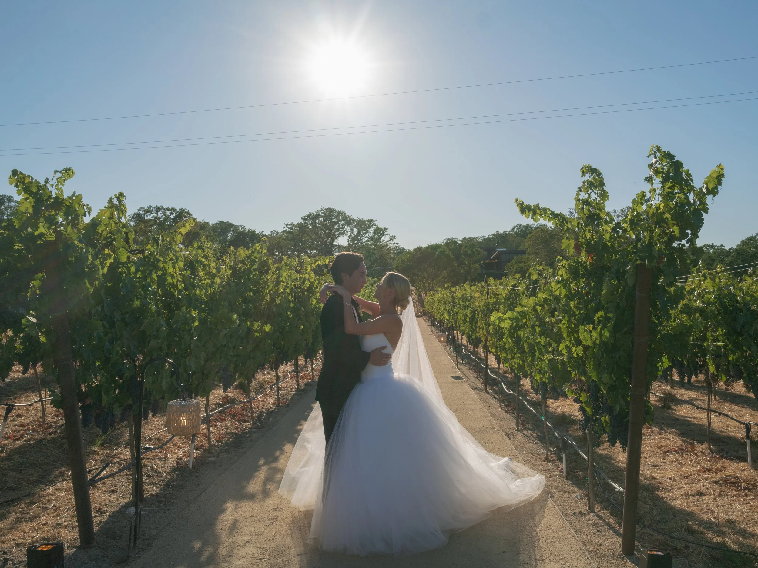 Bride and groom vineyard portrait at Montage Healdsburg