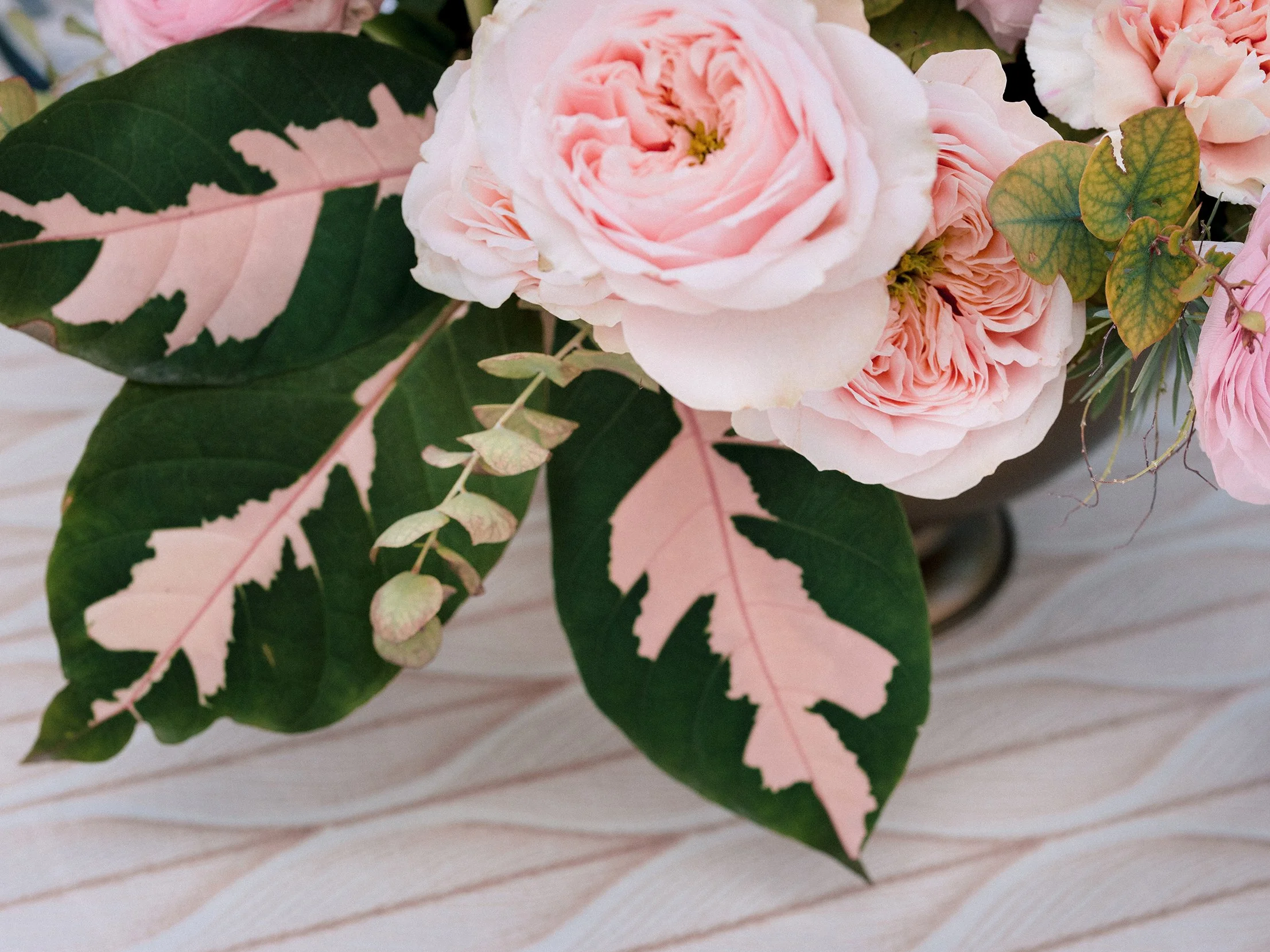 1070_DSC06771.png
