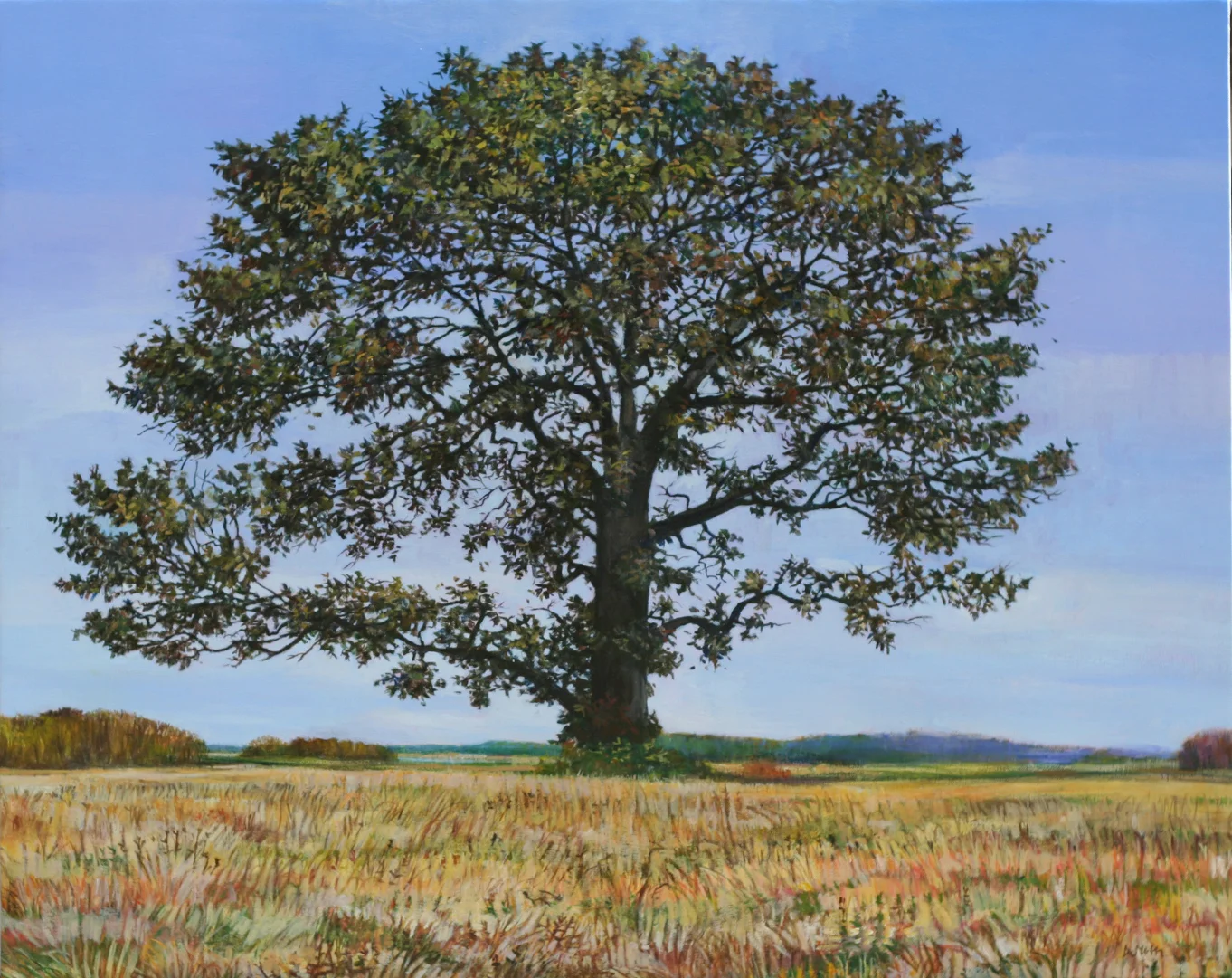 Prairie Oak, Print on Canvas, 16" by 20", $450