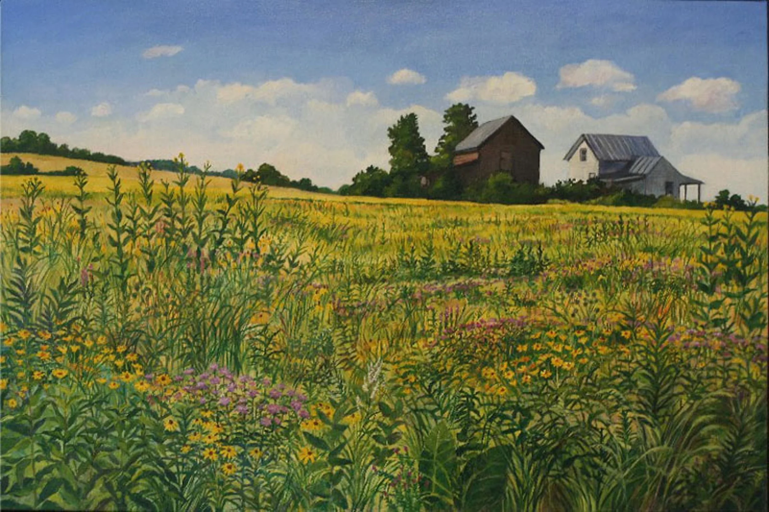 Buddy's Farm, July, Print on Canvas, 16" by 24", $450