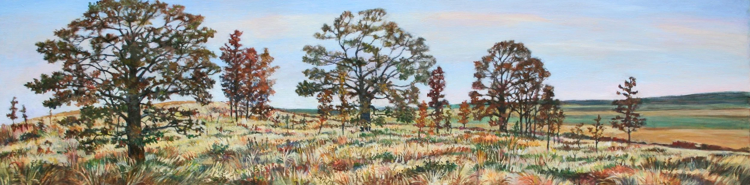 Autumn Savannah, Oil on Board, 12" X 48"