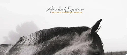  Equine Assisted Therapy &amp; Learning   www.aroha-equine.com   