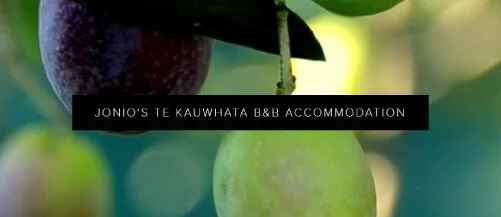  B&amp;B Accommodation  www.jonios.co.nz  
