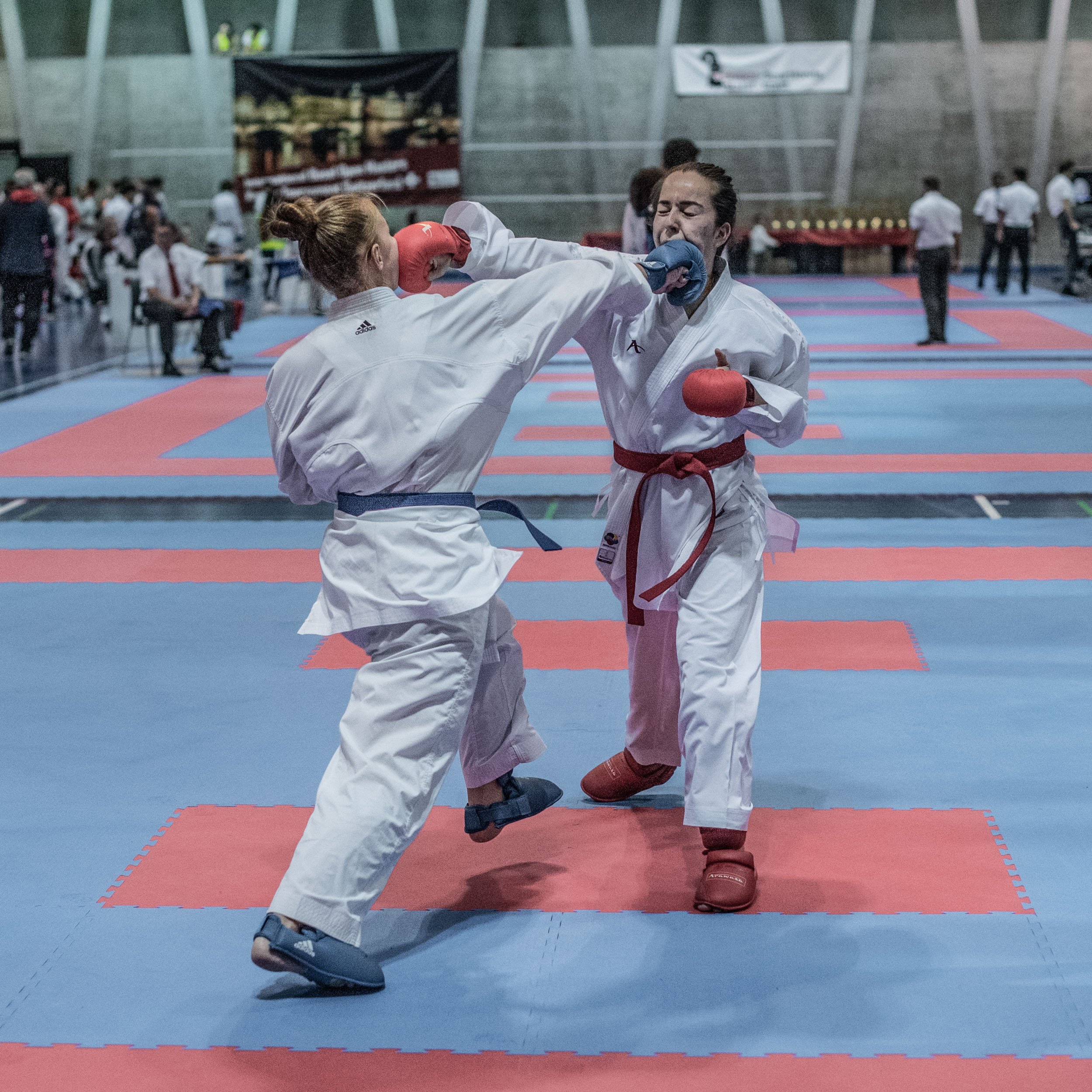 DSC_7931.jpeg