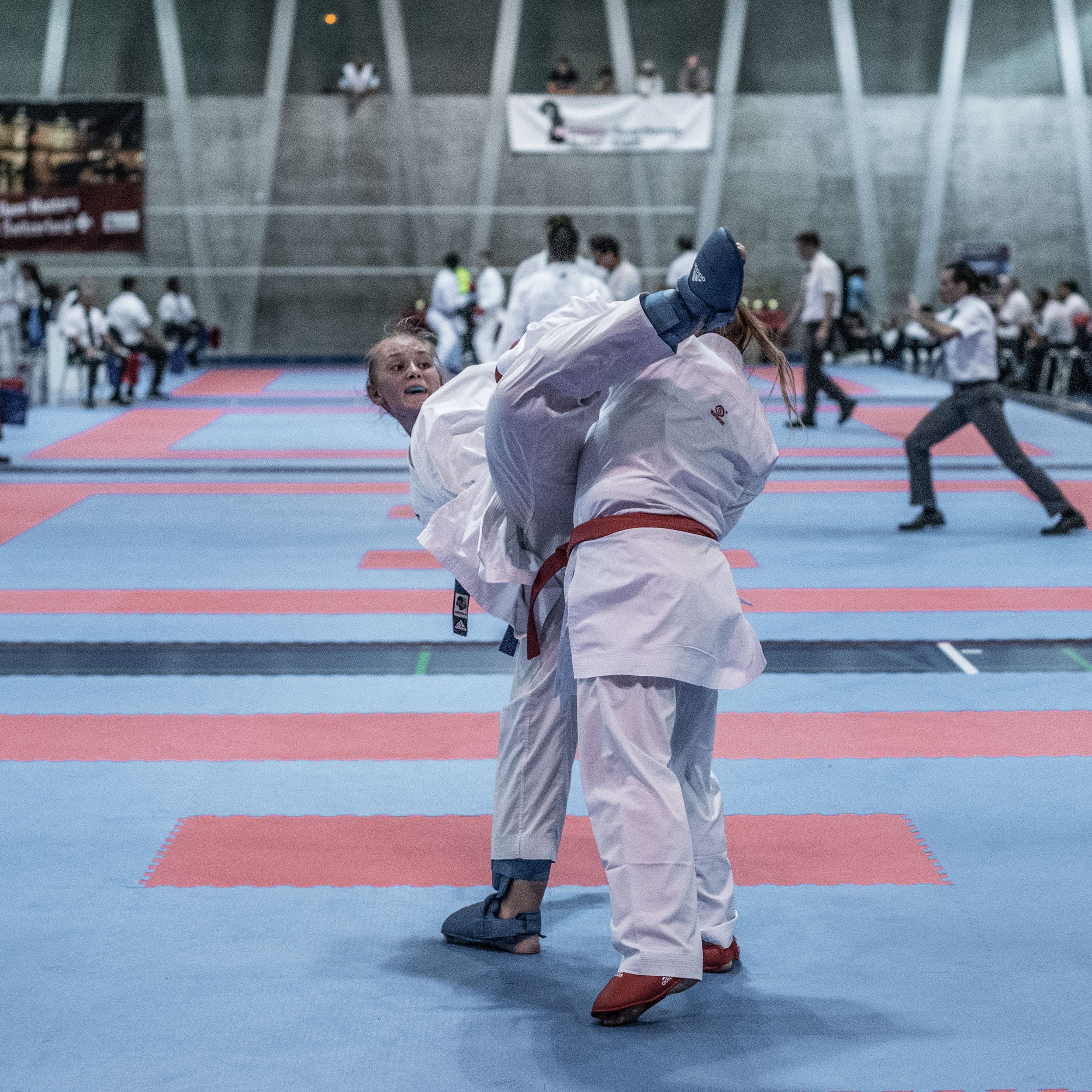 DSC_8295.jpeg