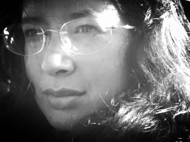 Mr. A.N. Pattynama advocate