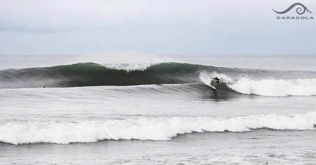 Don’t steal this. Don’t you dare steal this. Photo: Caracola Surf