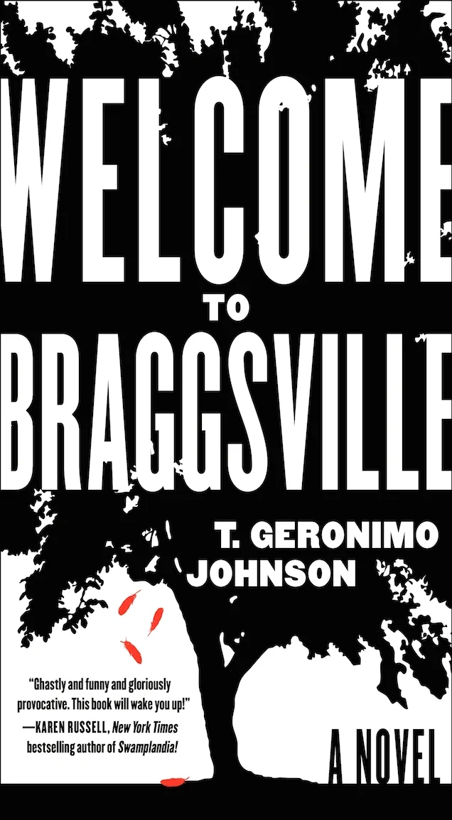 WELCOME TO BRAGGSVILLE final hc 385x212.jpeg