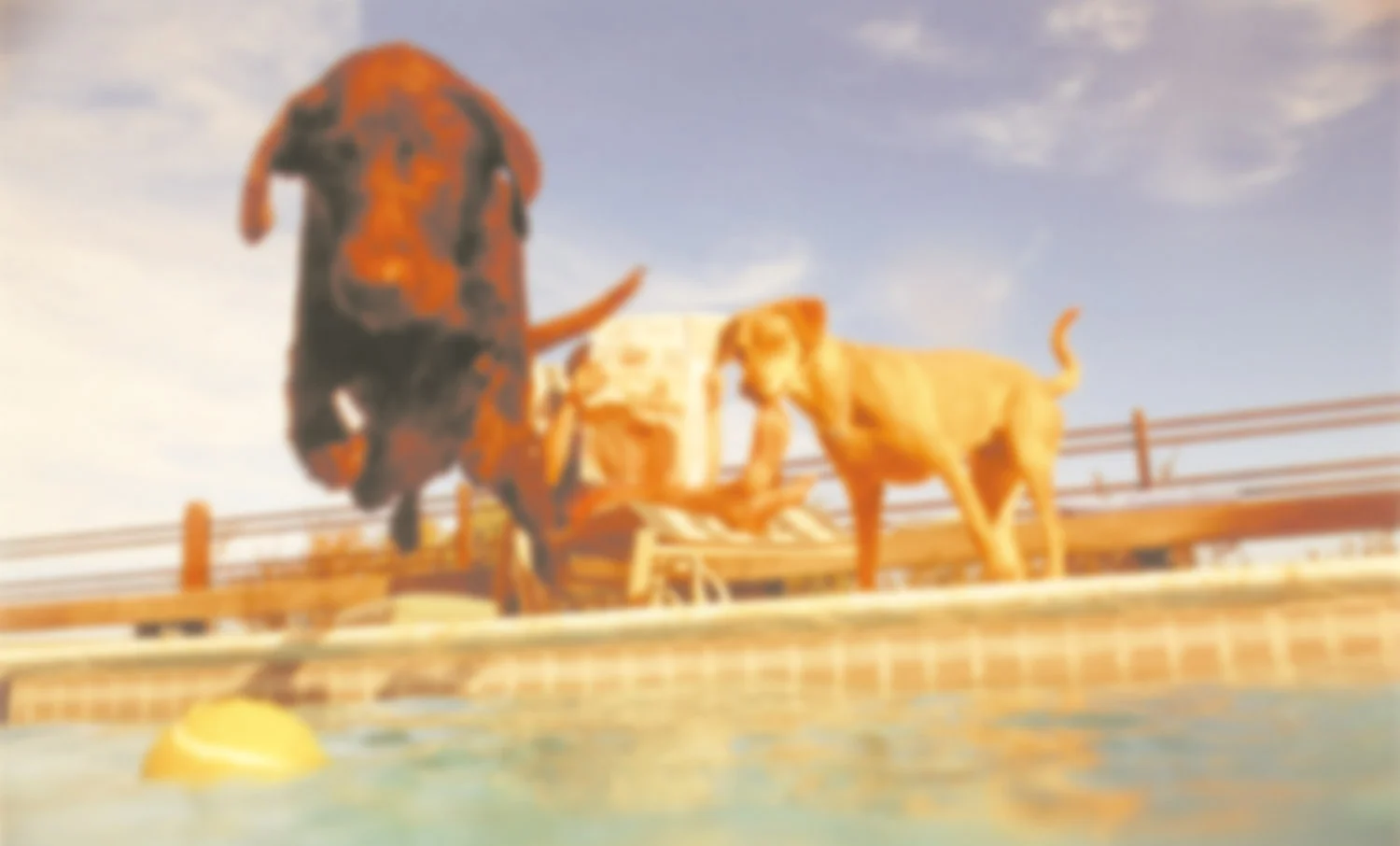 man-w_dogs-by-pool2.jpg