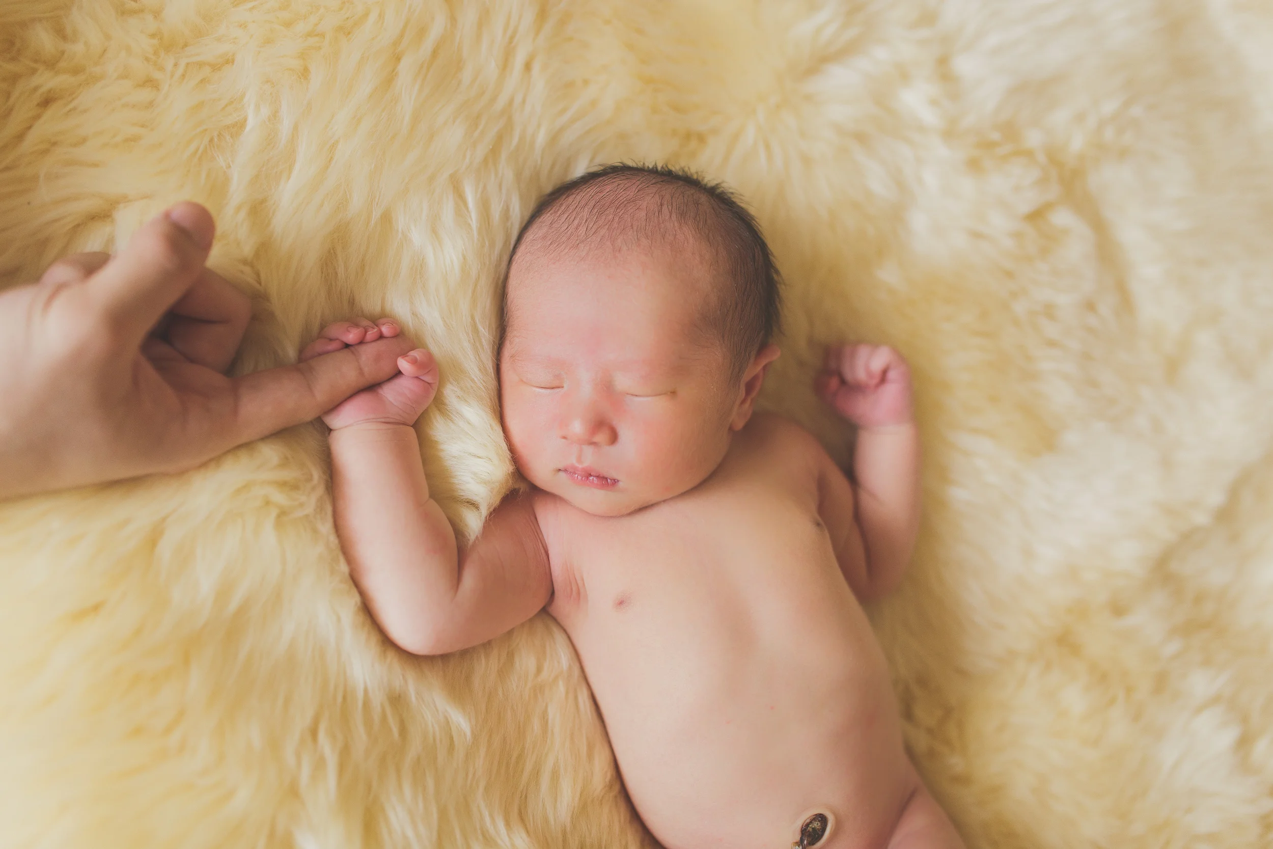IMG_4947-Edit.jpg