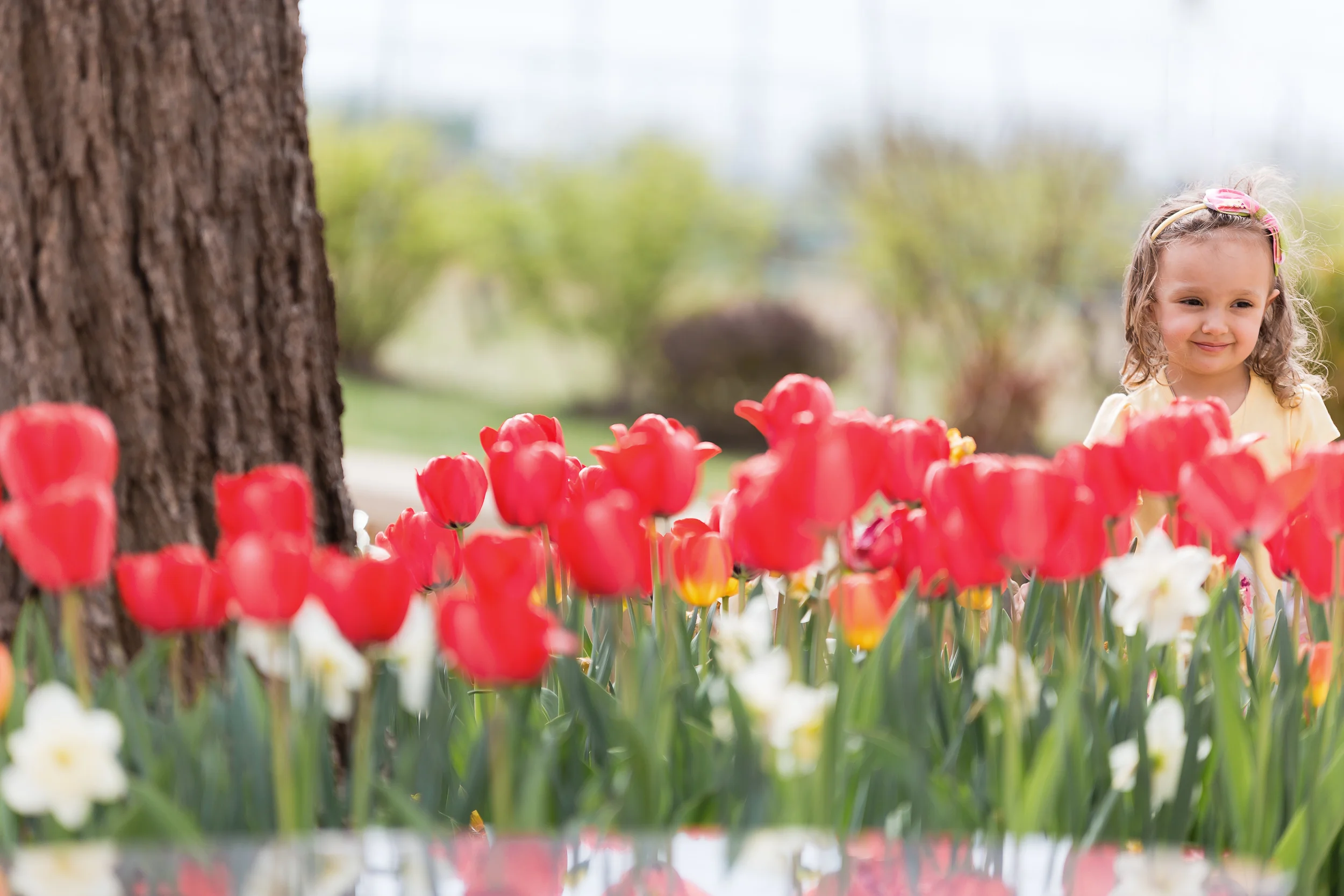 331A0661-Edit.jpg
