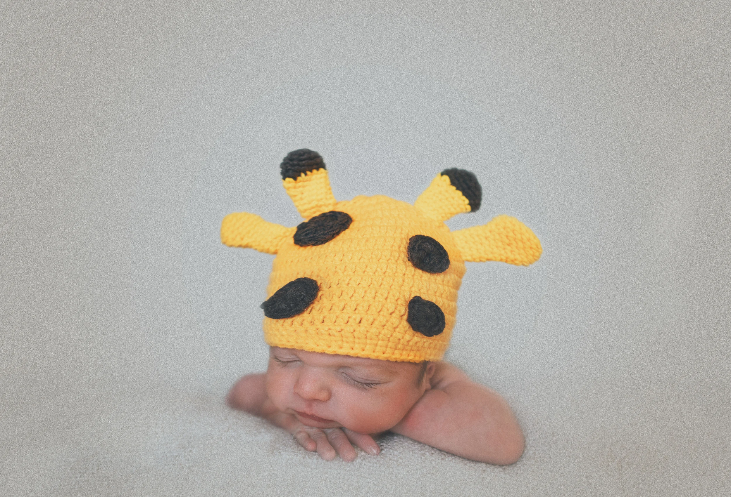 20150426-Declan-00065.jpg