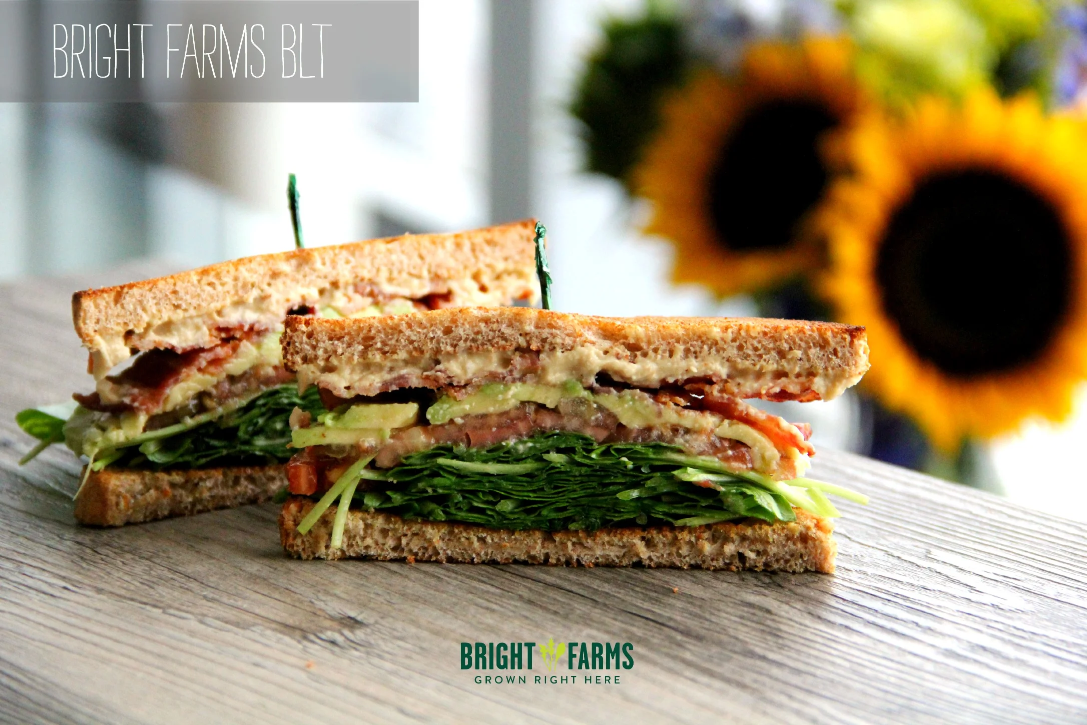 BF BLT.jpg