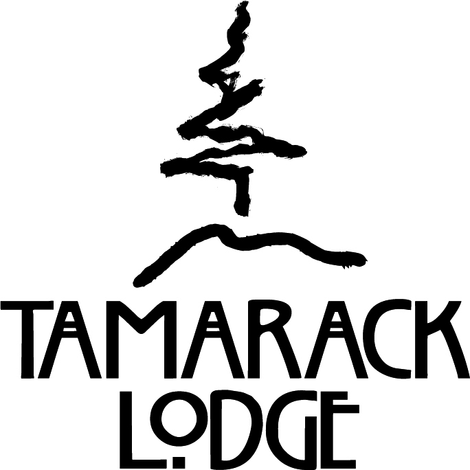 Proposed Logo Design - 2004
