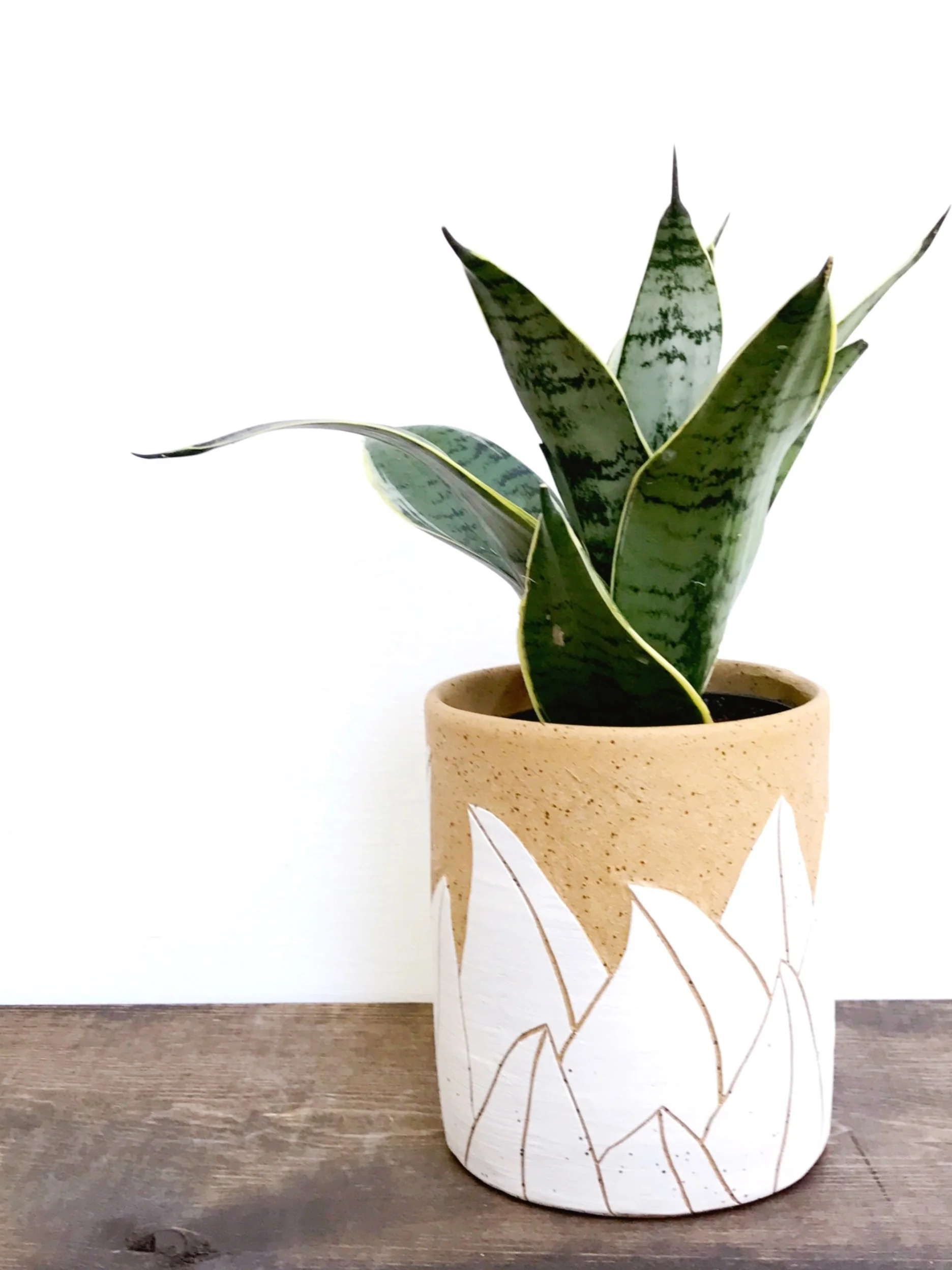 Hand carved ceramic planter by Kristen Saksa Juen 