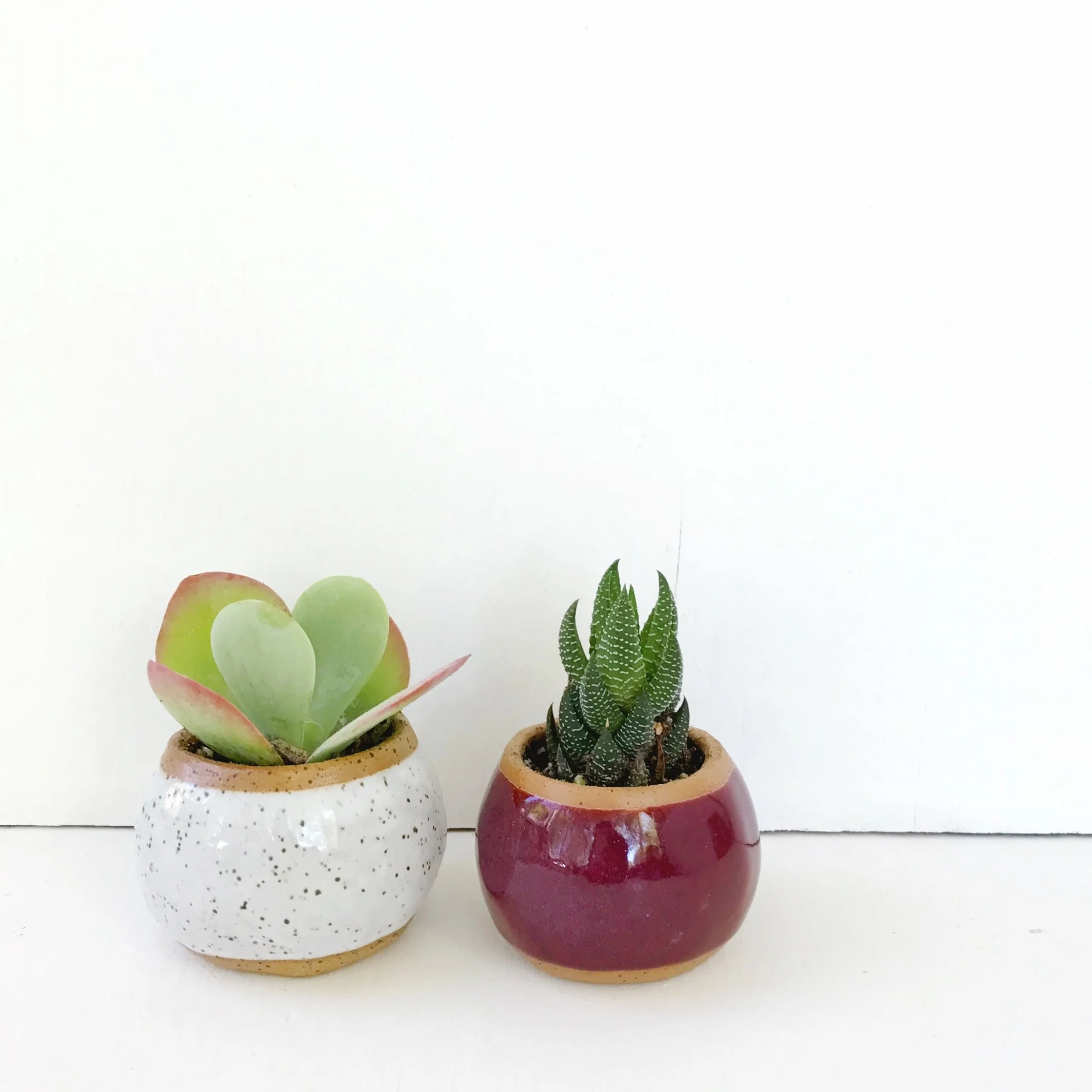  Knoll planters by Kristen Saksa Juen 