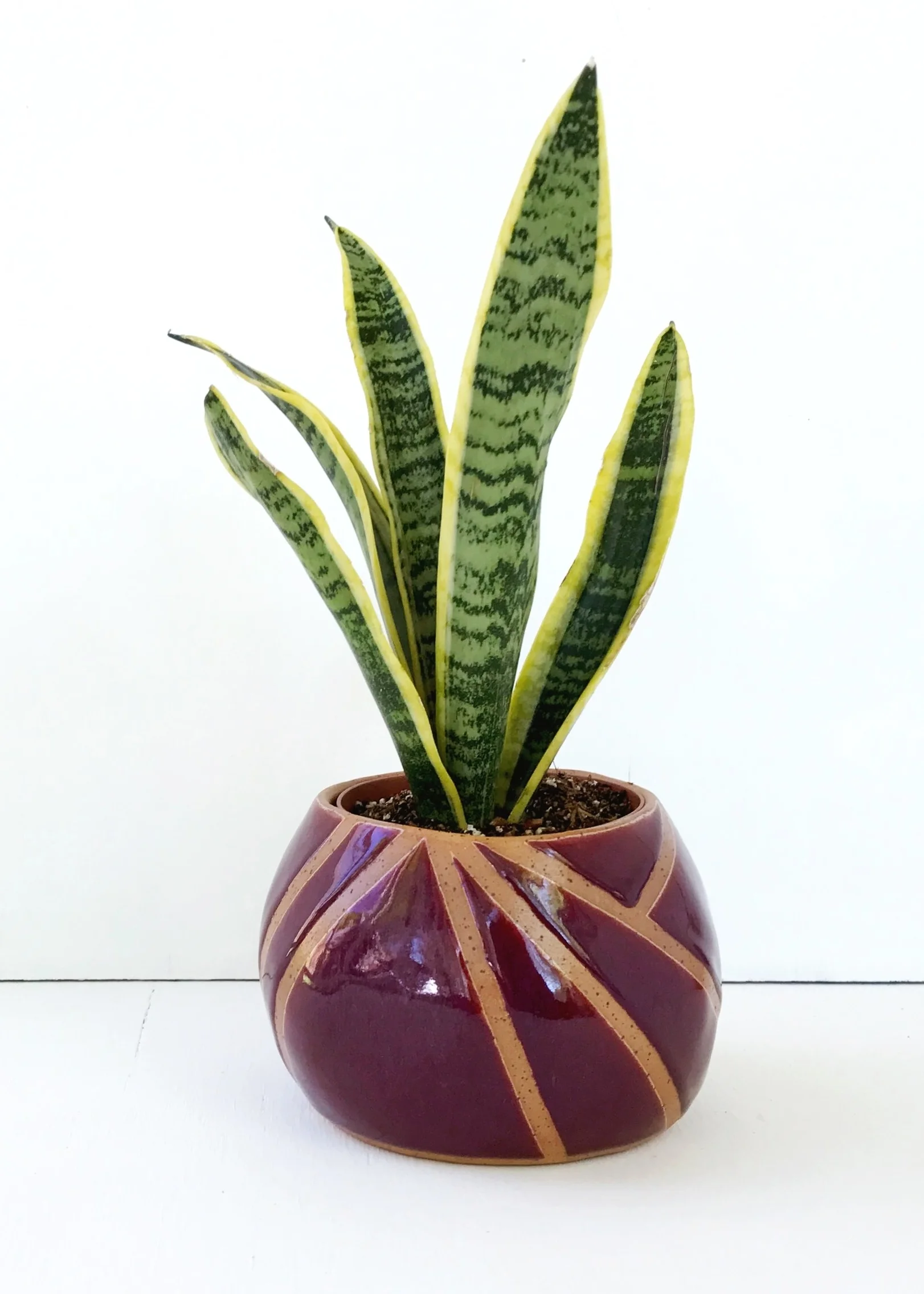  Ceramic planter by Kristen Saksa Juen 