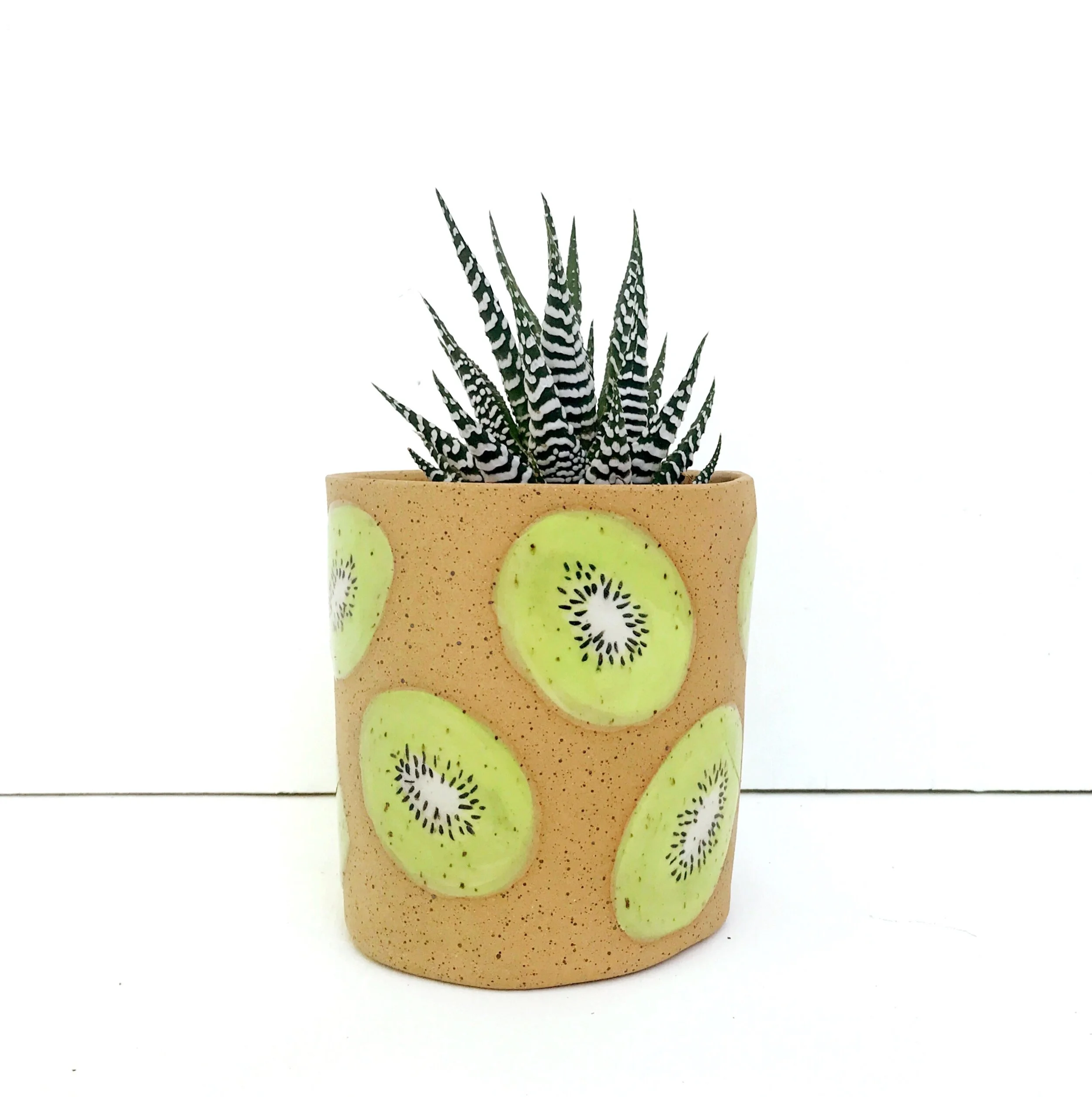 Kiwi Planter