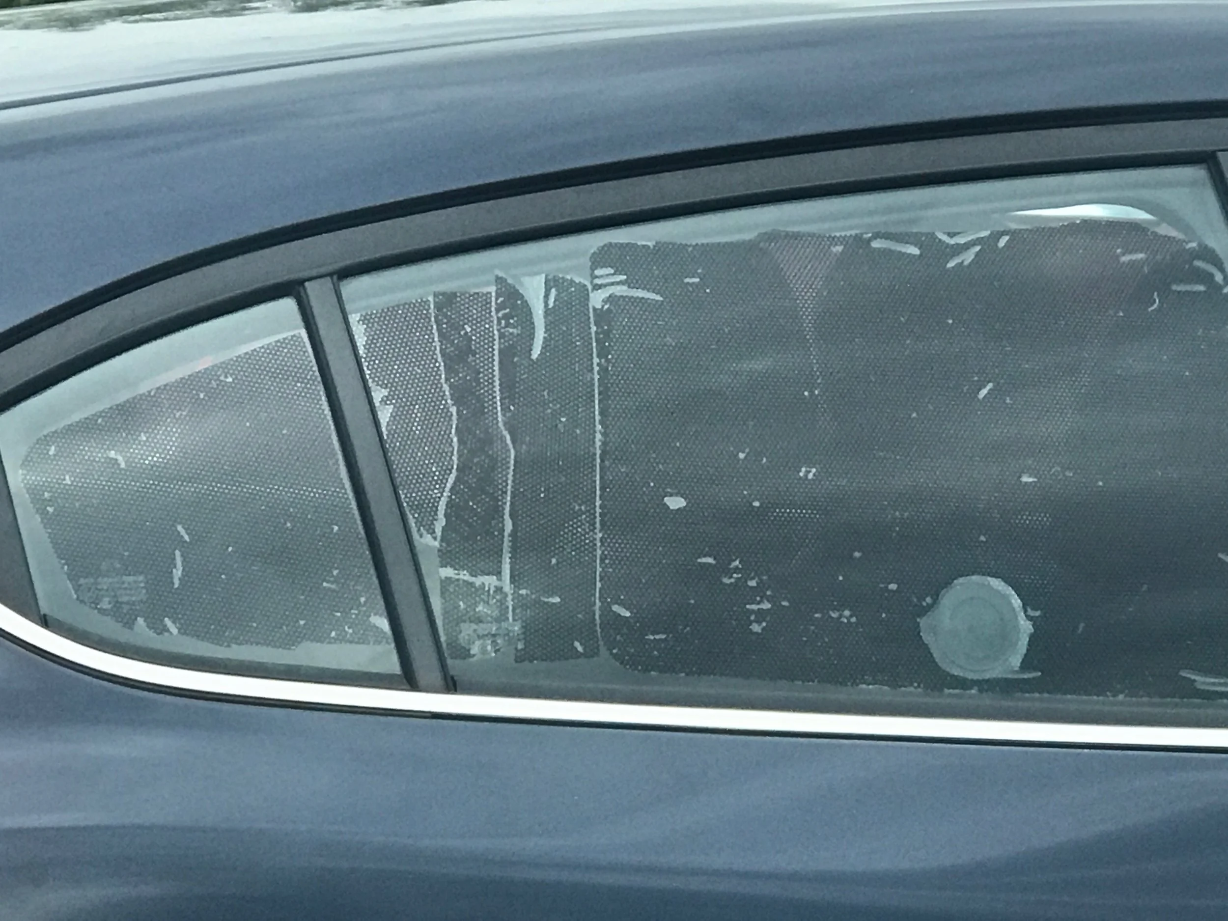 Premier Car Window Tinting in Denver Colorado Tinting — Colorado Tinting