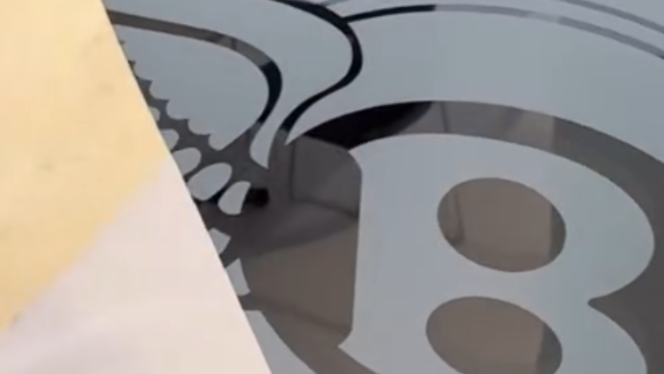 Professional Vehicle Graphics for Growing Brands in Centennial, Colorado