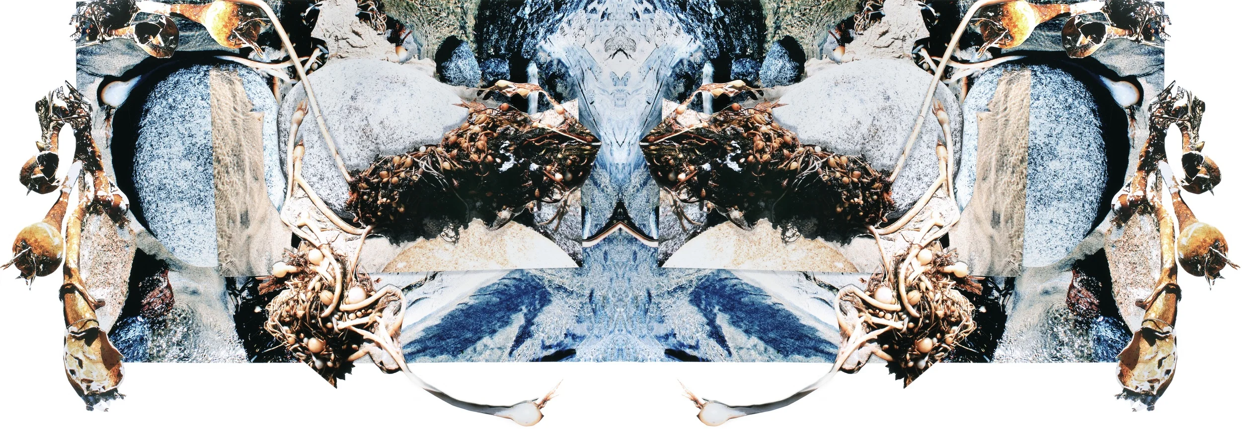 ECHOES OF A DISTANT LAND