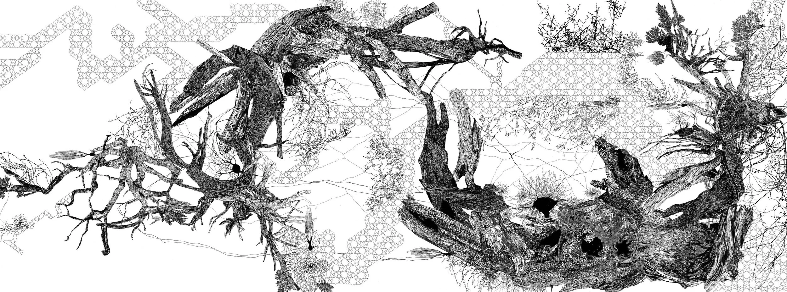 Fractured Cosmos IV.jpg