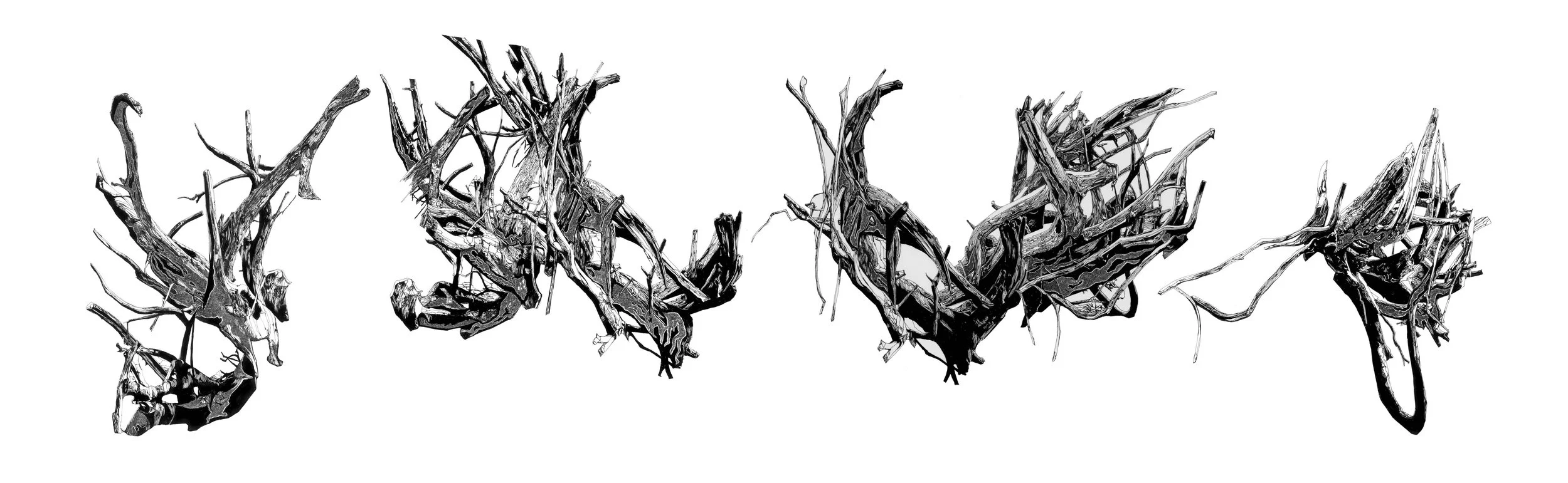 driftwood1 seaparate copy 2.jpg