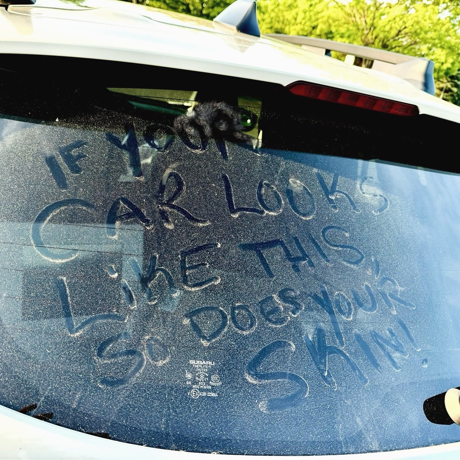 &ldquo;If your car looks like this, so does your skin!&rdquo;
Yes, writing that out triggered my allergies. 

One of many reasons why we need facials. The pollen and dirt isn&rsquo;t avoiding you just because you&rsquo;re not a car. 

Book online Jam