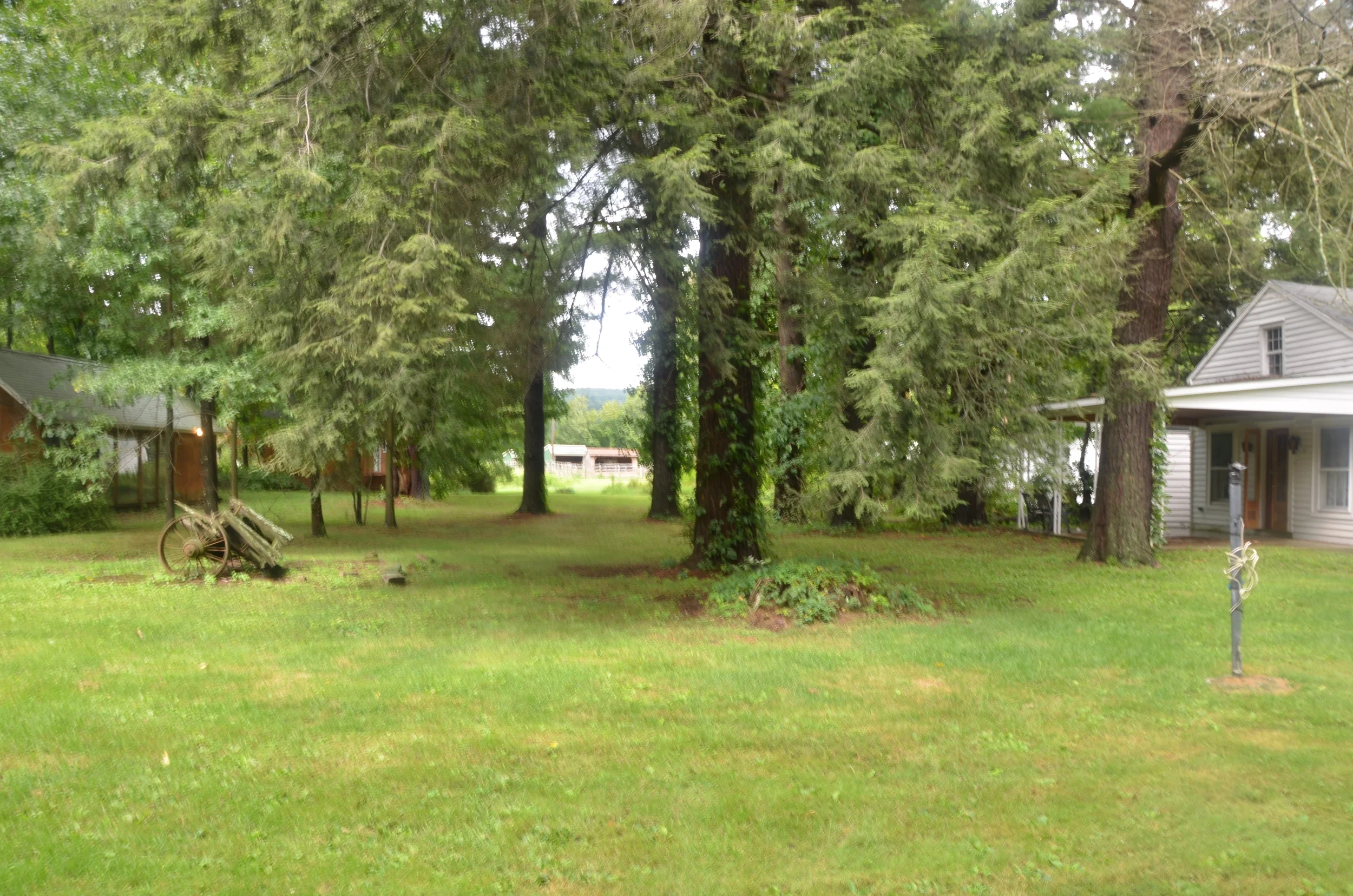 Yard