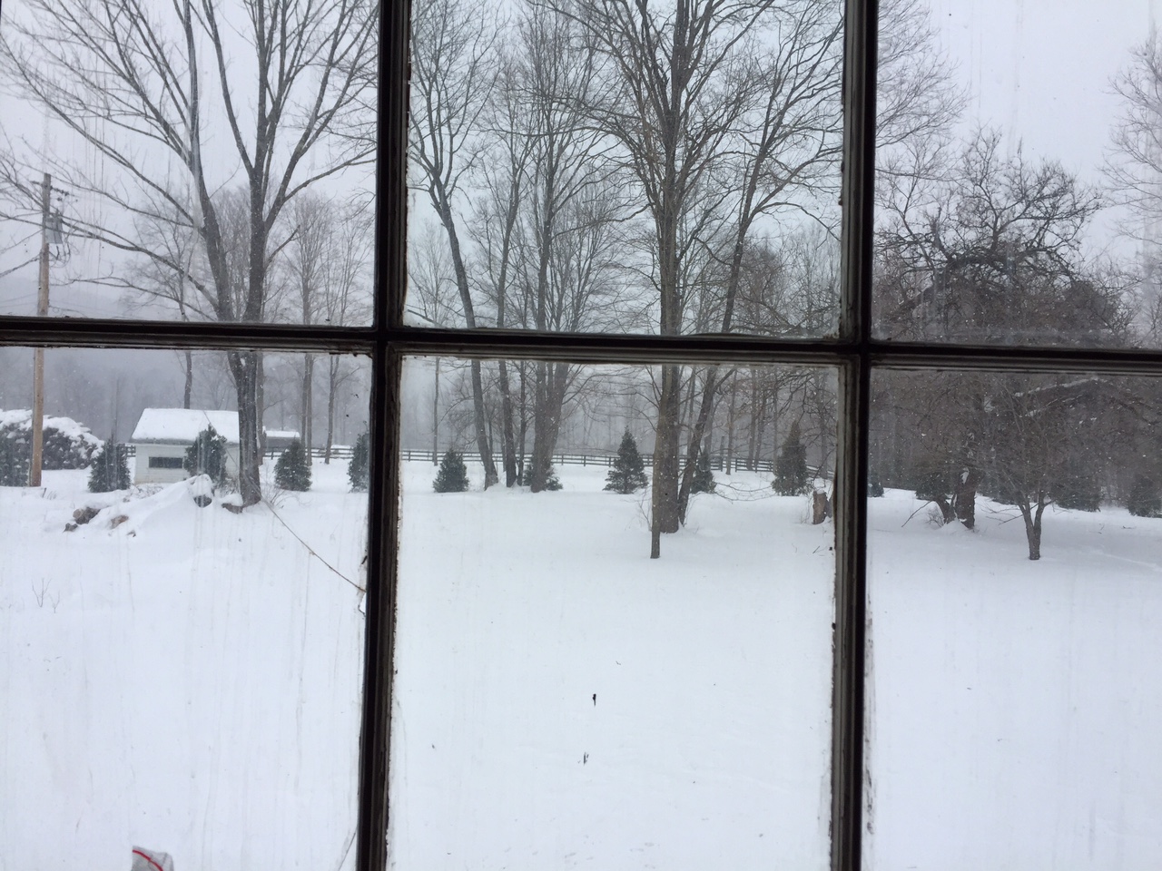 The view from the TV room while we were working. Our mini orchard will probably go in this area in the spring.