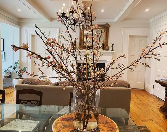 Branch game still going strong at BCF #brokenchimneyfarm #branches #flowers #prune #orchard