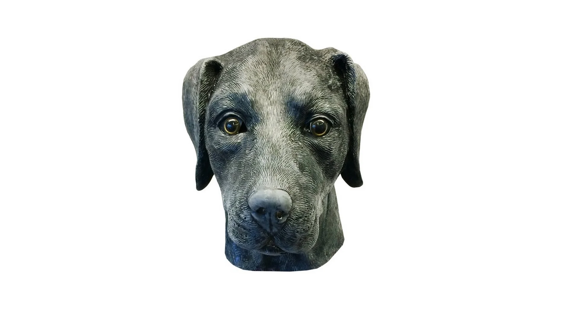 Black Lab Mask