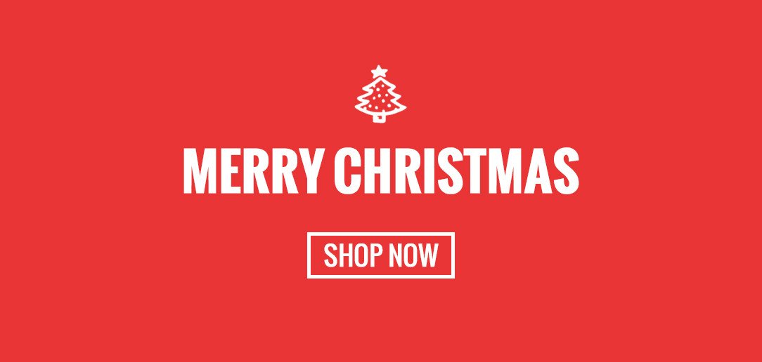 NEWSLETTER_DEC_merry_christmas_495e8570-863e-4056-a1a0-57a7b8497939.jpg