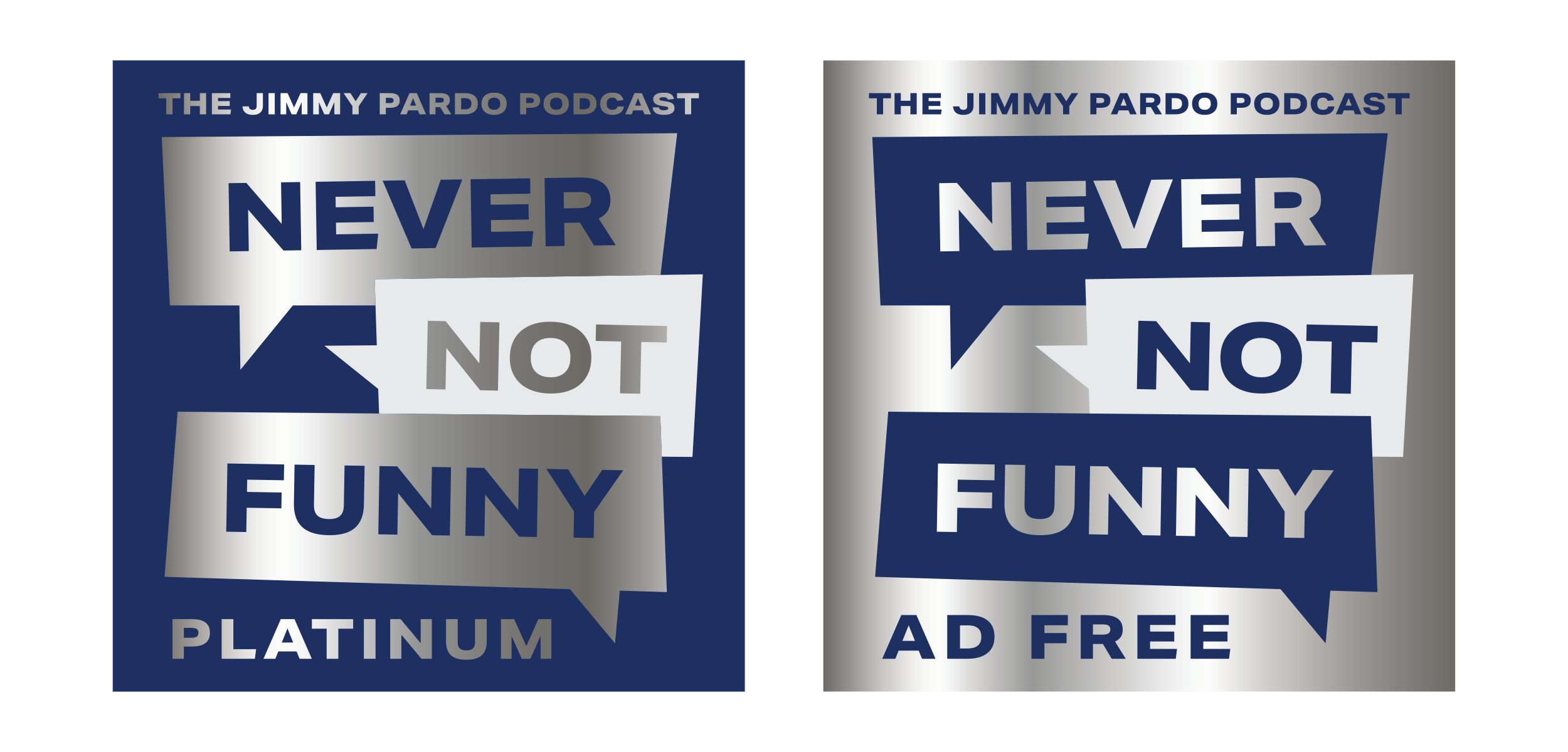 NNFlogo_Platinum.png