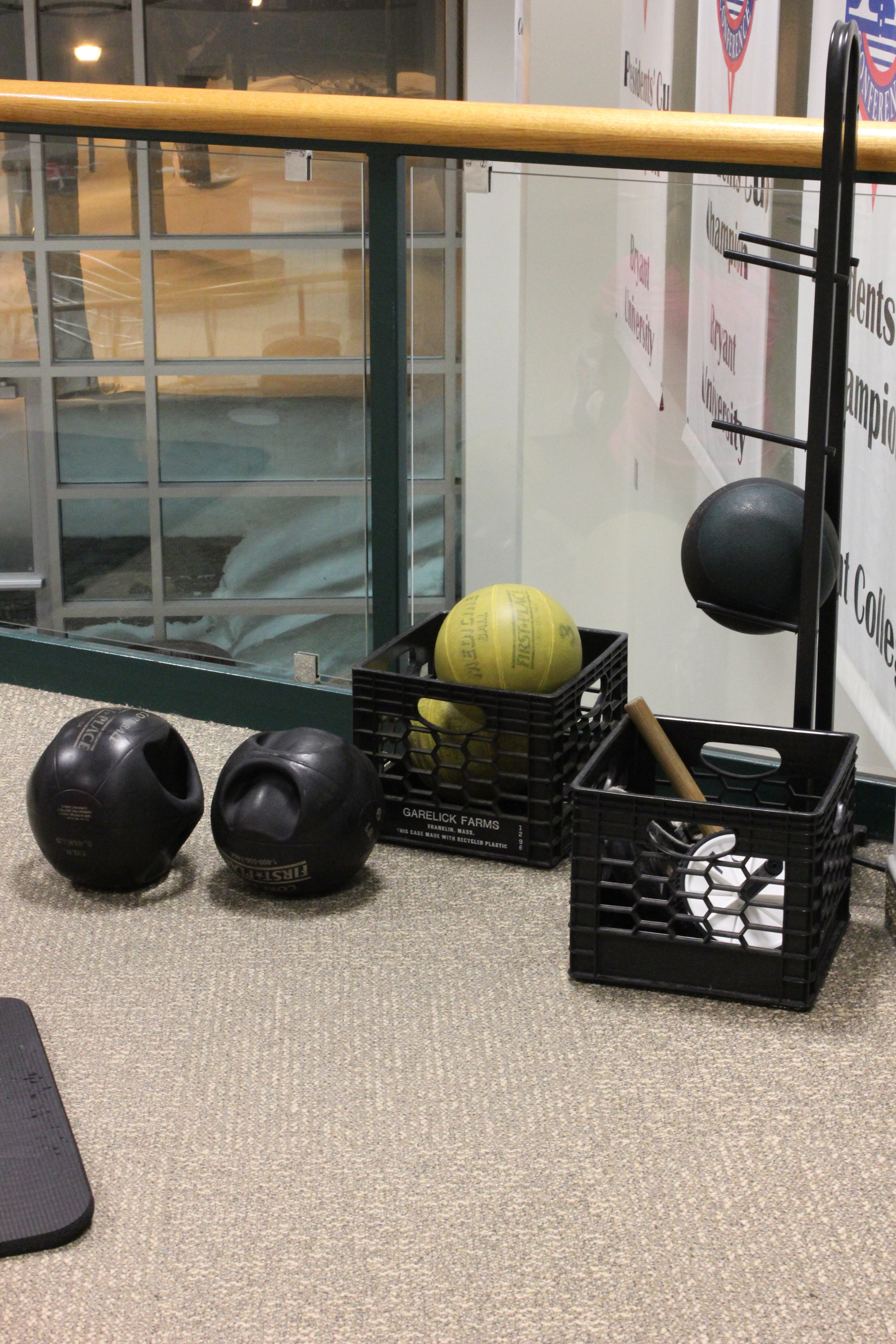 "A Gym Window" - Catherine Elizabeth