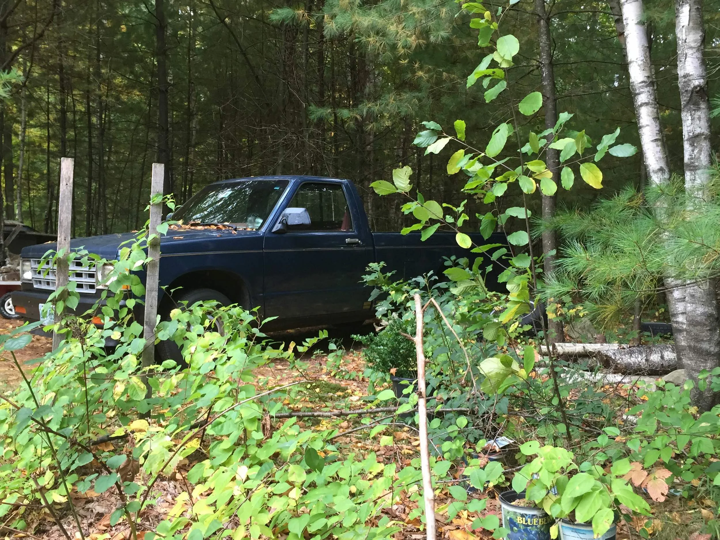My Brief Affair with an '85