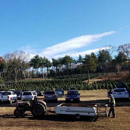 Rollie’s Farm