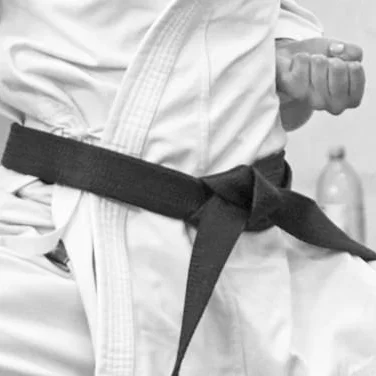 Black Belt or Novel?
