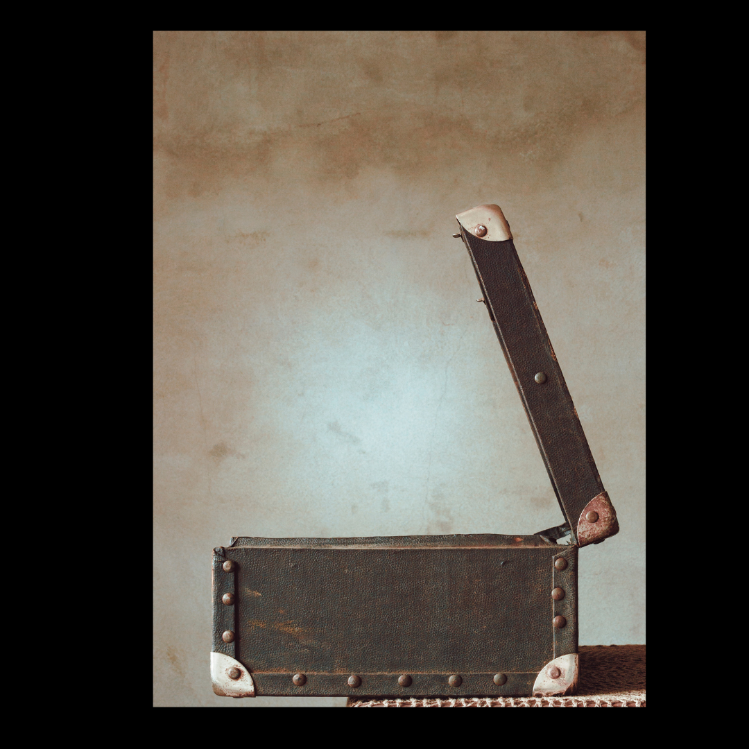 The Suitcase