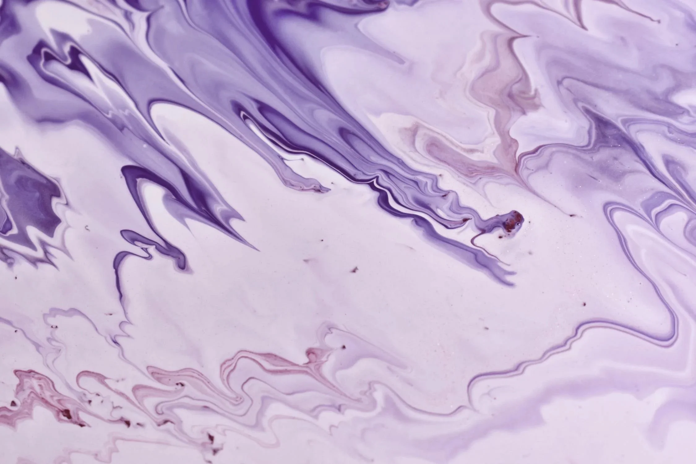 Purple Disclosure